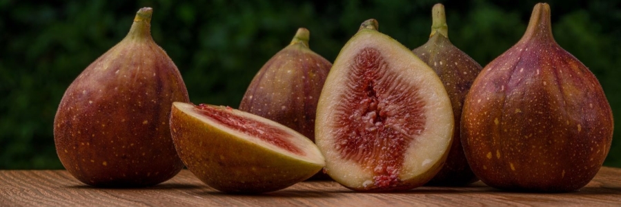 fruit for autumn